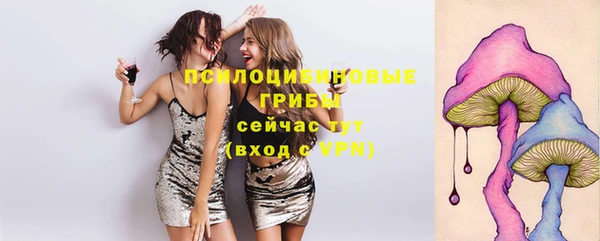 хмурый Богородицк